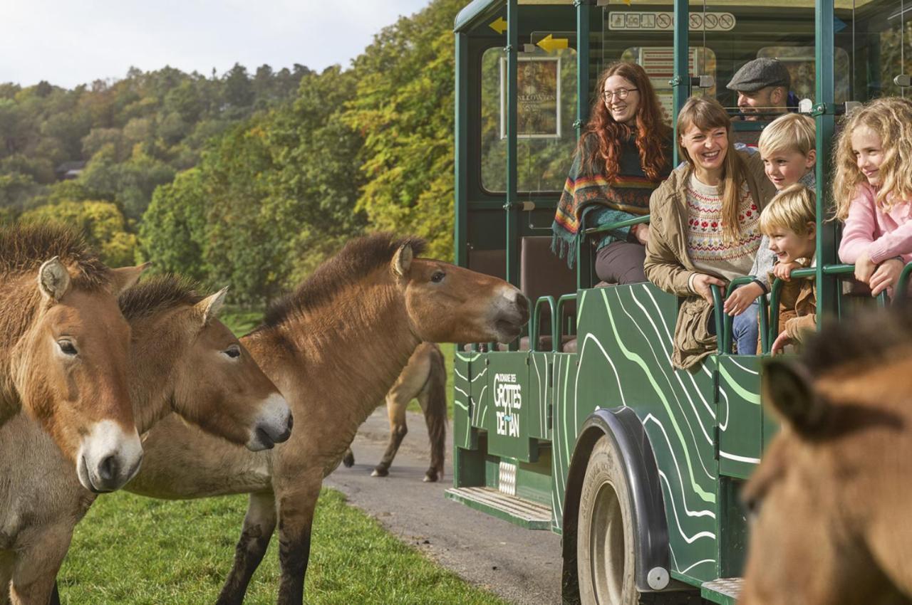 Vakantiestudio Ciney Chapois Eksteriør billede